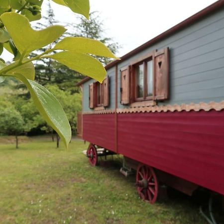 I Tre Abeti - Holiday House Vezzano Ligure Eksteriør billede